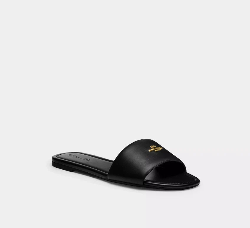 caq67_blk_a0_jpg.webp